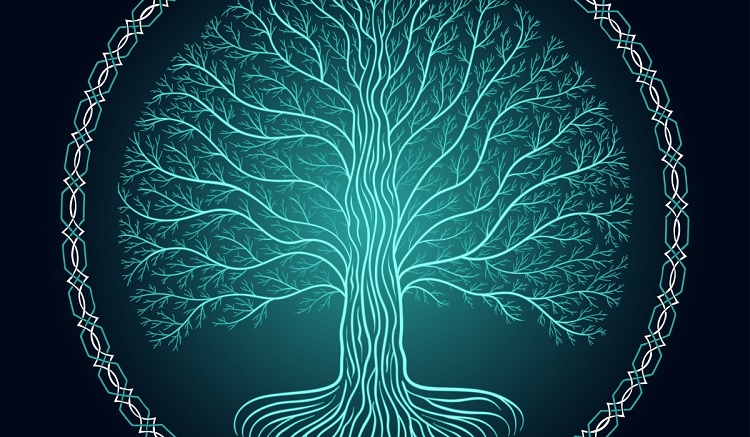 Árvore da vida