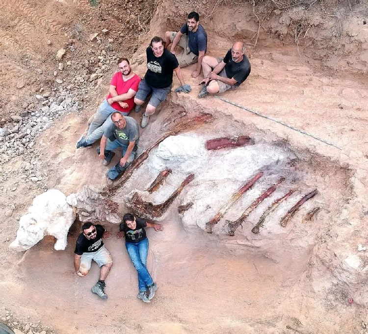 Dinossauro gigante encontrado em Portugal