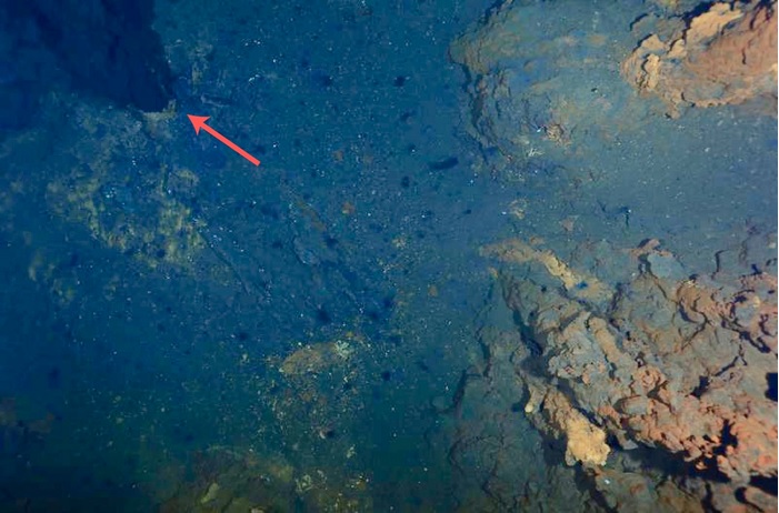 Fontes hidrotermais na cordilheira submarina Gakkel, no Ártico