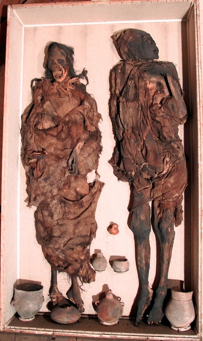 Múmias sul-americanas