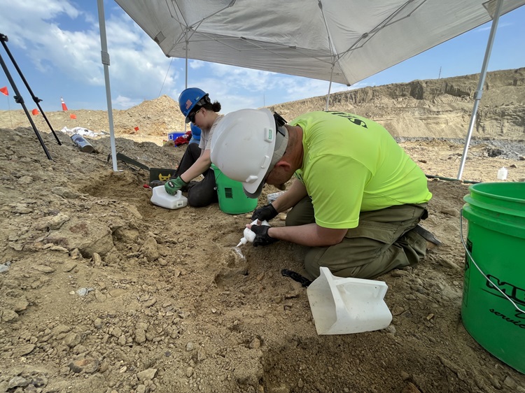 Escavação dos ossos de mamute