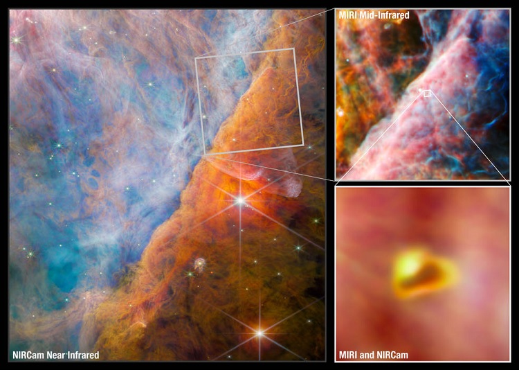 Detalhe mostra o sistema estelar d203-506 na Nebulosa de Órion
