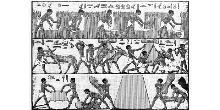 Trabalhadores do Antigo Egito