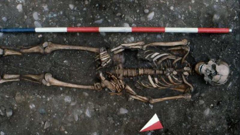 Esqueleto medieval morto de vítima da Roda de Santa Catarina