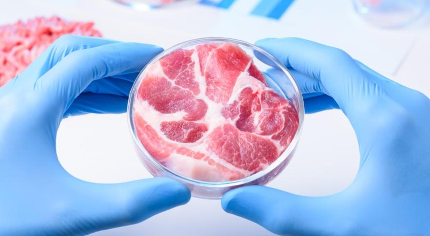 Carne produzida em laboratório