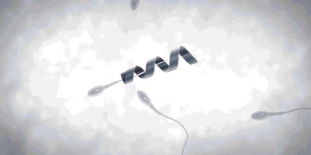 O nanorrobô que pode dar uma ajudinha aos espermatozoides preguiçosos-0