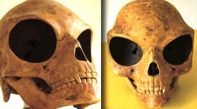 Crânio encontrado na Dinamarca pode ser extraterrestre-0