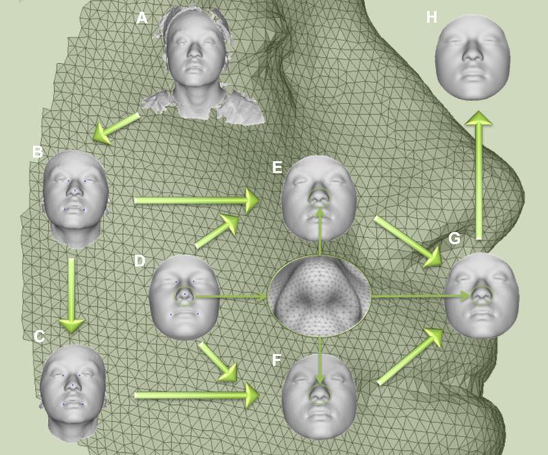 Cientistas descobrem que é possível identificar um rosto pelo DNA-0