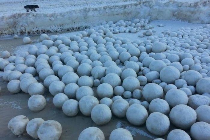 O que são estas estranhas esferas em uma praia da Rússia?-0