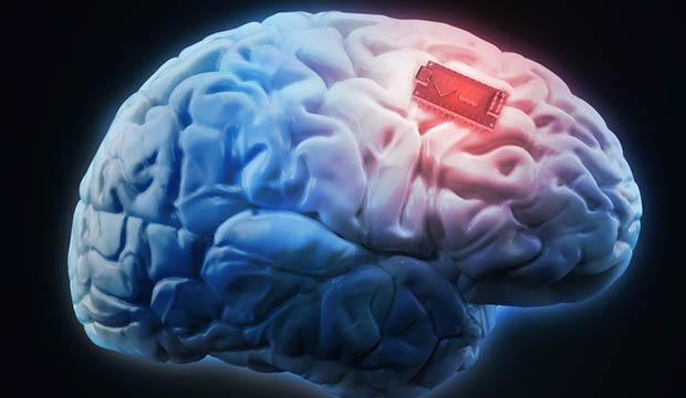 Cientistas descobrem como carregar informações em um cérebro humano-0