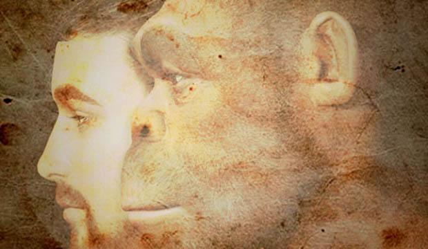 Antepassados humanos tiveram relações sexuais com espécie de hominídeo fantasma-0