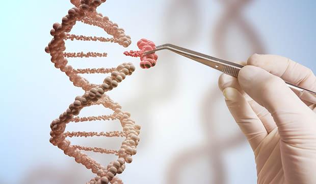 Cientistas conseguem eliminar doença genética do embrião humano-0