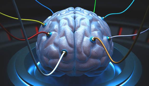 Cientistas conectam um cérebro à Internet em tempo real pela primeira vez-0