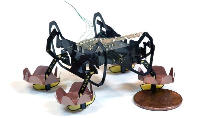 Cientistas desenvolvem baratas-robô capazes de funcionar embaixo d’água-0