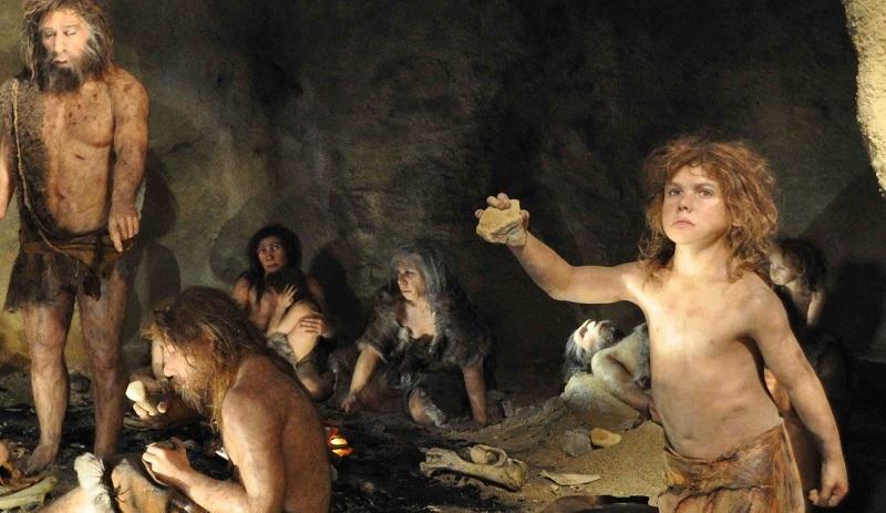 Criança neandertal pode ter sido devorada por pássaro gigante na Era do Gelo-0