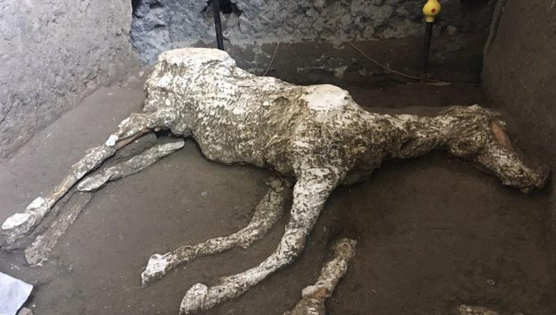 Arqueólogos encontram restos mortais de cavalos nas ruínas de Pompeia-0