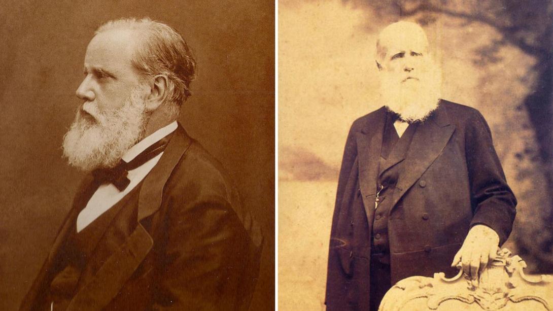 Dom Pedro II peitou o Império Britânico e um embaixador folgado -0