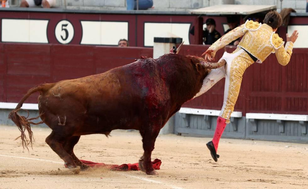 Toureiro recebe chifrada no ânus em Madri e fica gravemente ferido-0