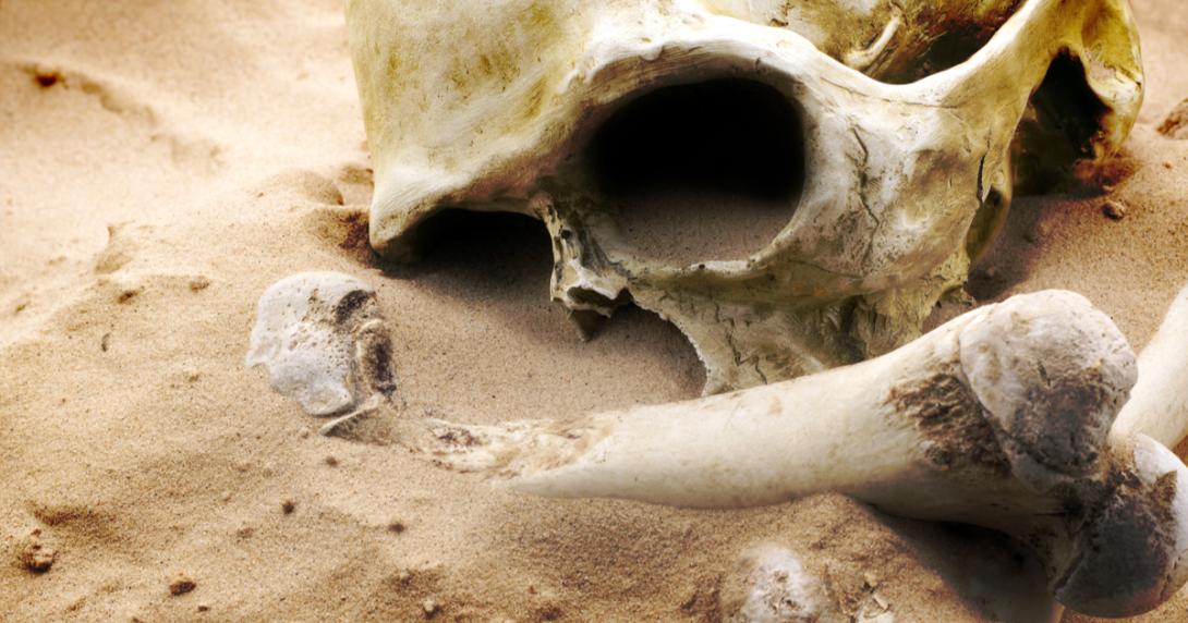 Evidência mais antiga de um humano fora da África é descoberta na Grécia-0