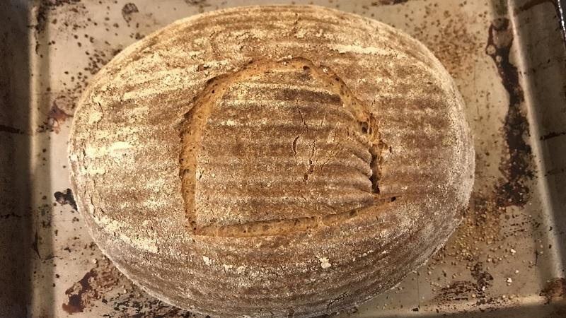 Cientistas usam fermento de 4.500 anos para recriar pão do Antigo Egito-0