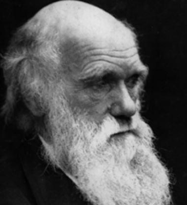 Livro de Darwin, A Origem das Espécies, é publicado em Londres-0
