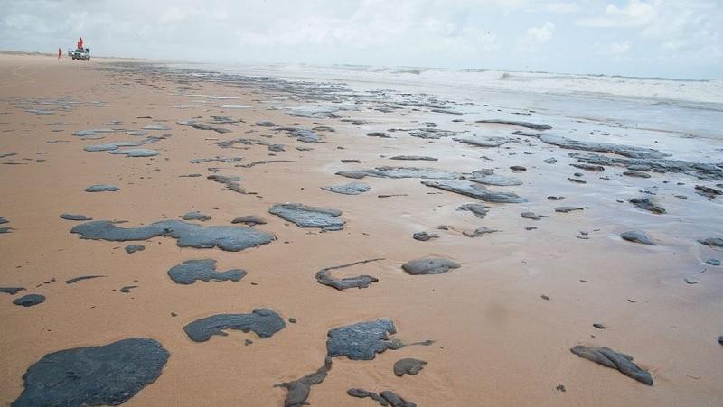 Manchas de óleo atingem o nordeste brasileiro e causam mortes de animais-0