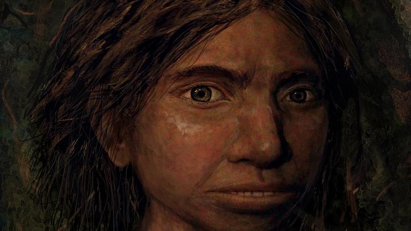Pesquisadores reconstroem o rosto de um hominídeo de Denisova pela primeira vez-0