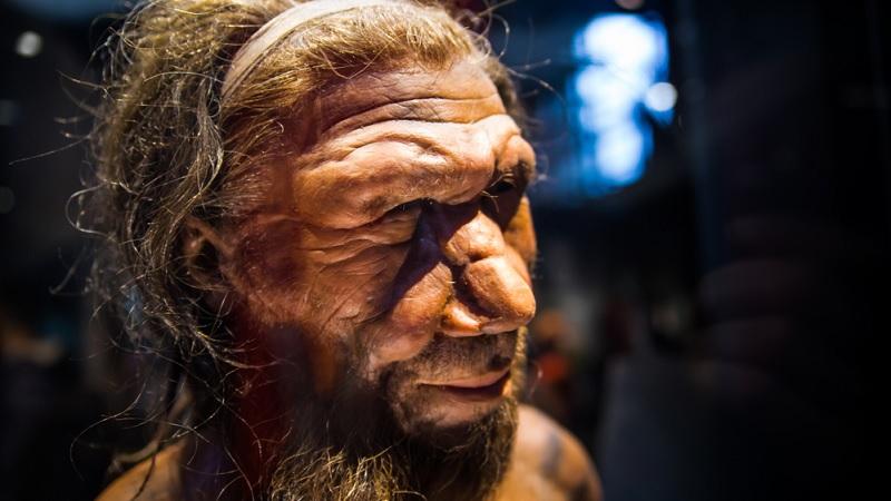 Cientistas afirmam que os neandertais foram extintos por pura falta de sorte-0