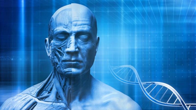 Descoberta de gene que forma o rosto indica que humanos se ”autodomesticaram”-0