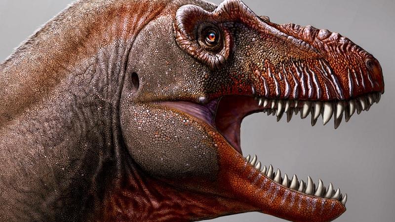 Fazendeiro descobre nova espécie de dinossauro: o temível "ceifador da morte"-0