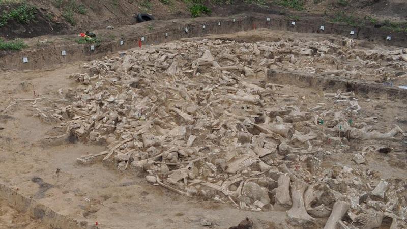 Misteriosos círculos de 20 mil anos feitos com ossos de mamute intrigam pesquisadores-0