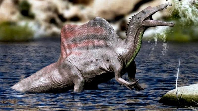 Especialistas encontram primeira evidência de um dinossauro aquático-0