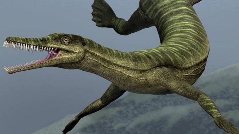 Seca leva à descoberta de fóssil de criatura mais antiga que dinossauros no sul do Brasil-0