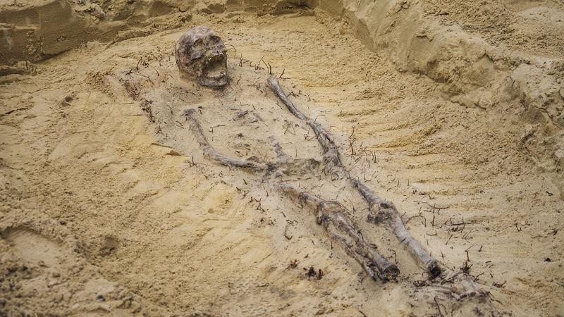 Esqueletos de crianças com moedas na boca são encontrados em cemitério do século XVI-0