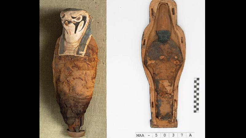 Estudo revela que misteriosas múmias egípcias milenares não eram humanas-0