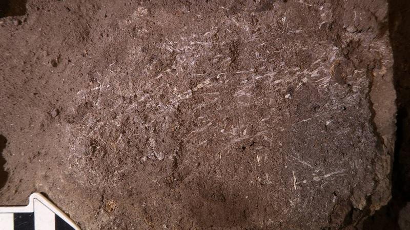 Arqueólogos encontram "camas" pré-históricas de 200 mil anos na África do Sul-0