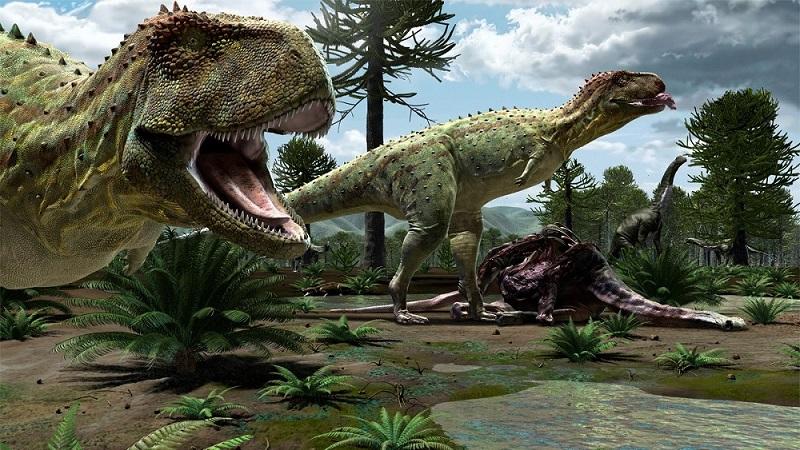 Fósseis de dinossauros são encontrados às margens de rodovia em Minas Gerais-0