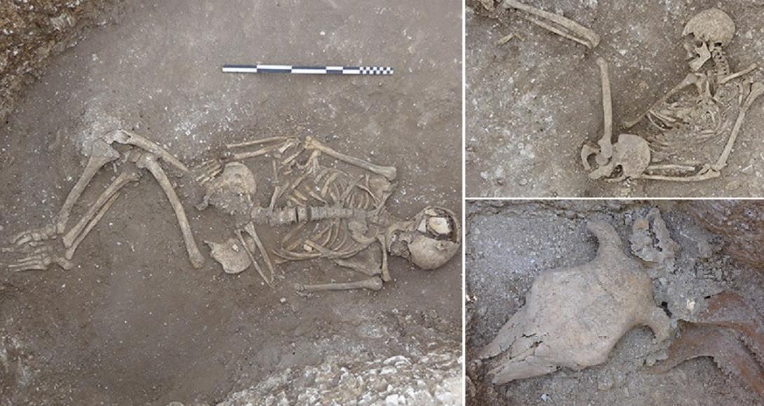  Restos de sacrifícios de misteriosa civilização pré-histórica são encontrados na Inglaterra-0