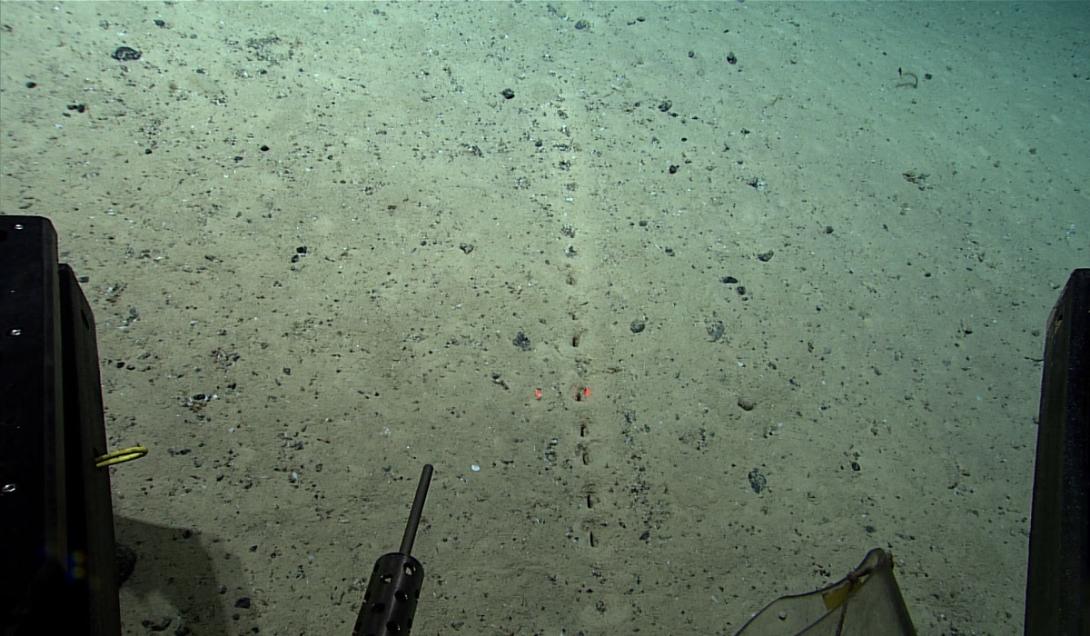 Misteriosos buracos "alienígenas" no fundo do mar intrigam pesquisadores-0