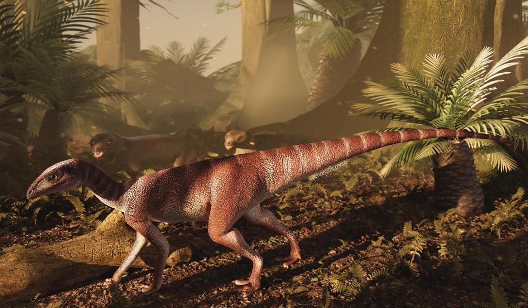 Fósseis de animal importante na evolução dos dinossauros são encontrados no RS-0