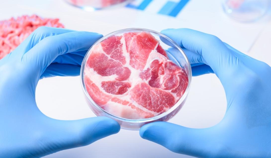 Pela primeira vez na história, EUA autorizam consumo de carne cultivada em laboratório-0