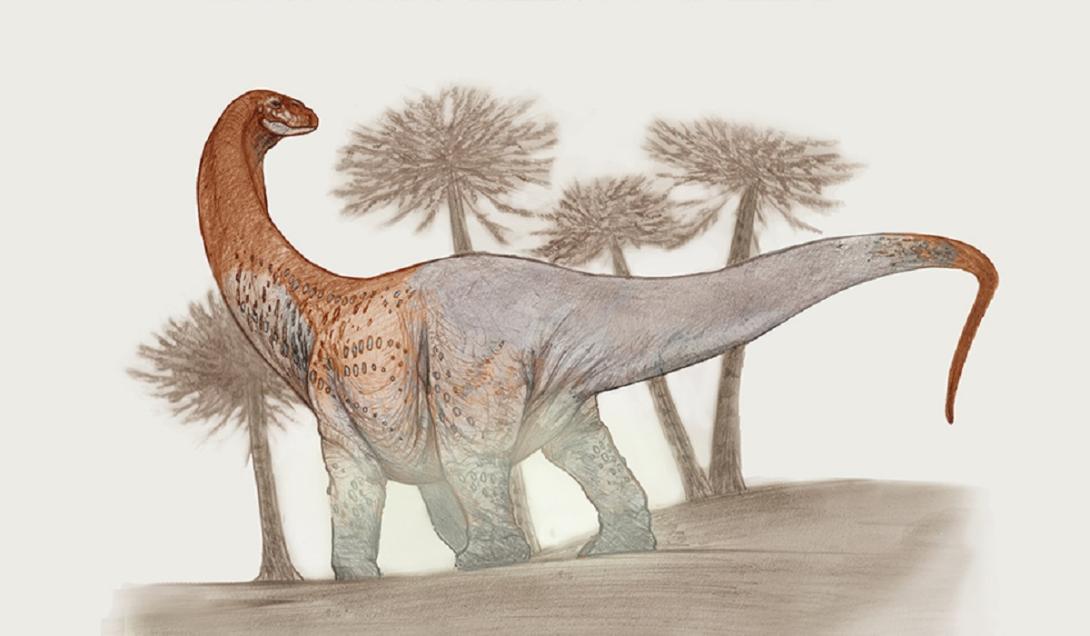 Nova espécie de dinossauro gigante que viveu há 90 milhões de anos é descoberta na Argentina-0