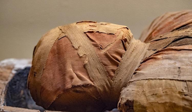 Bizarra prática de comer múmias foi moda na Europa durante séculos-0