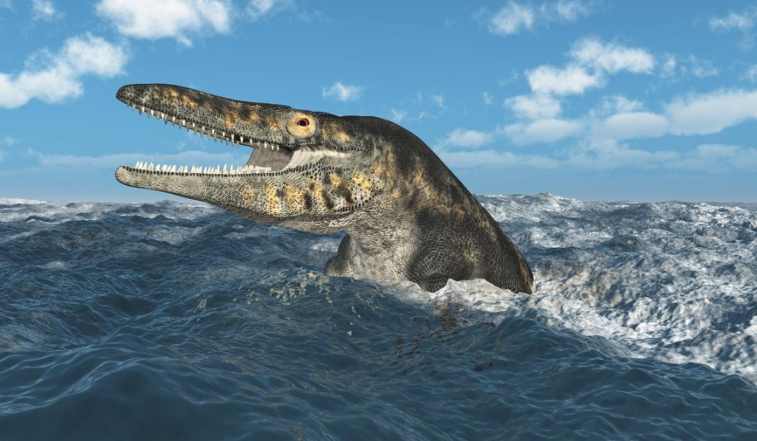 “Dragão azul”: Fóssil de criatura marinha totalmente diferente surpreende cientistas-0