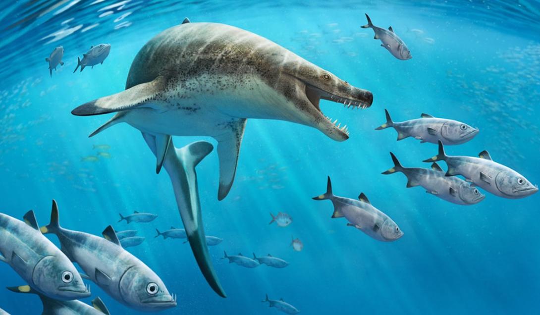 Fósseis de monstro marinho da época dos dinossauros são encontrados no Marrocos-0
